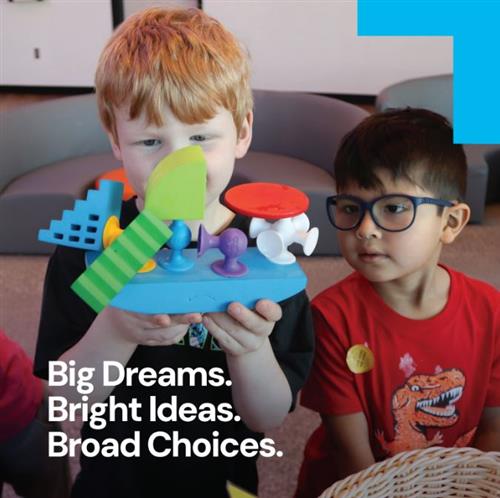 Big Dreams Bright Ideas Broad Choices