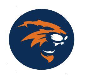 Wildcat