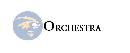 Orchestra