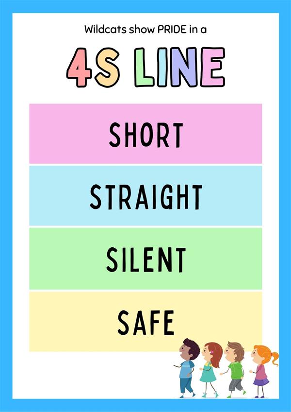 Wilder 4S Line Expectations